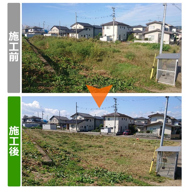 便利屋サンキュー仙台本店の業務報告（2020年10月2日）940平米（約285坪）の草刈り作業してきました。