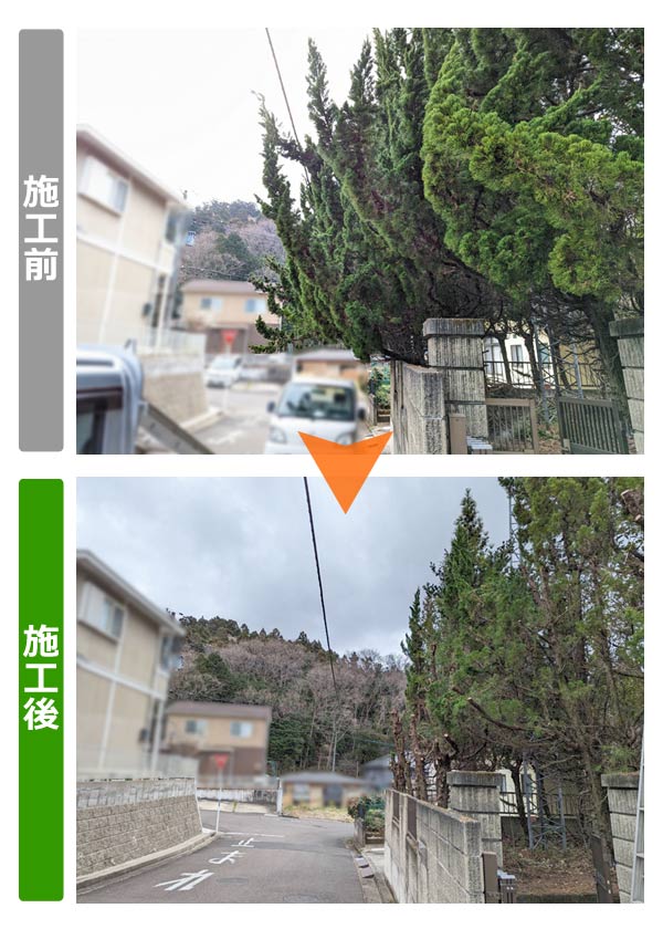 便利屋サンキュー仙台本店の業務報告（2023年3月24日）仙台市泉区の戸建て住宅で庭木の剪定、伐採、丈詰めを行いました。