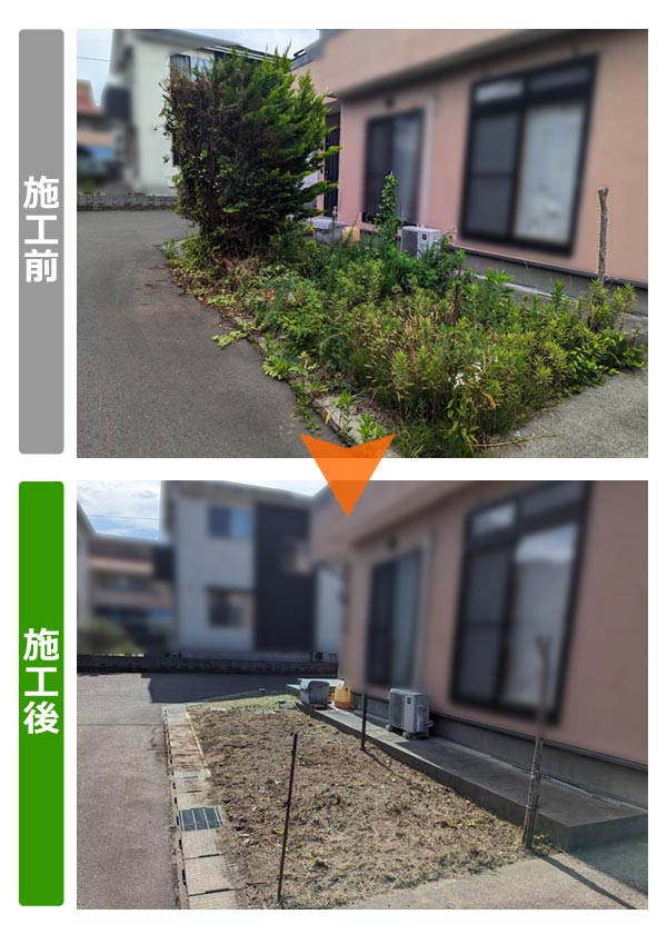 便利屋サンキュー仙台本店の業務報告（2023年7月3日）仙台市太白区のお客様宅で、大きくなりすぎた植木鉢の木の撤去と鉢植え撤去、抜根作業、お庭、家周りの草刈りを行いました。