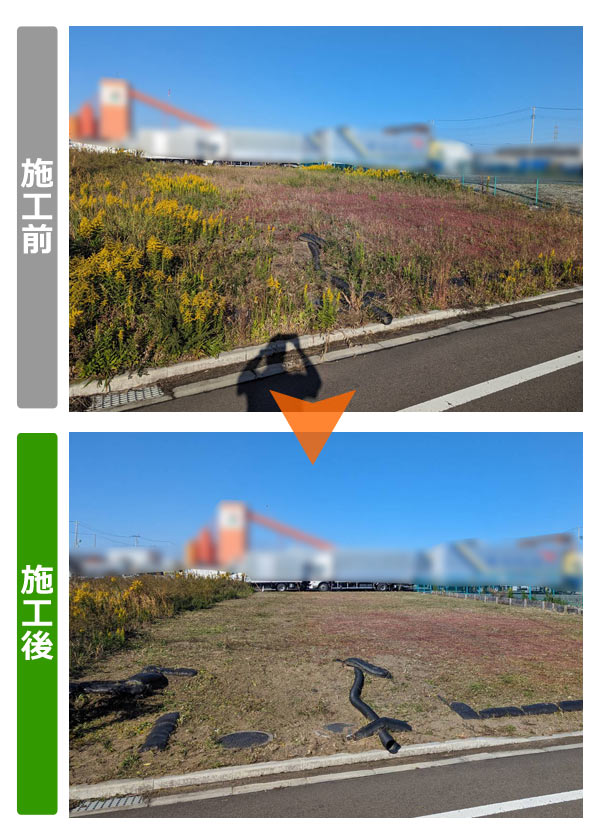 便利屋サンキュー仙台本店の業務報告（2023年10月30日）法人様からのご依頼で仙台市宮城野区で法人様所有の空き地400㎡の草刈り作業を行いました。